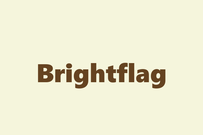 Technology Solutions Firm Brightflag