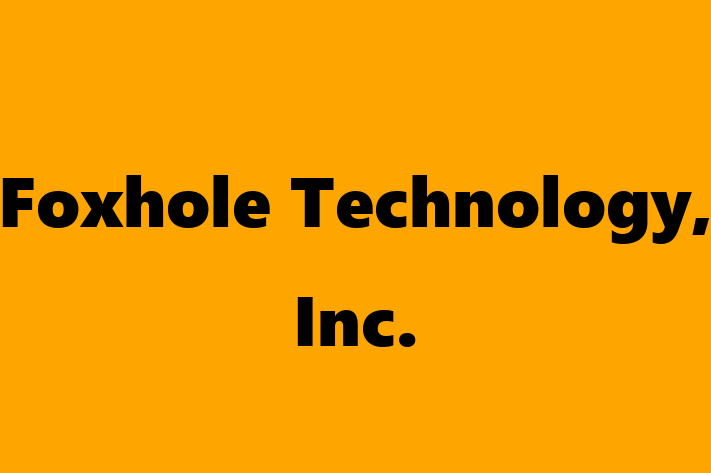 Technology Solutions Firm Foxhole Technology Inc.