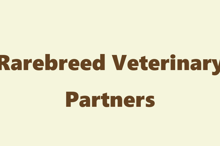 Employee Relations Rarebreed Veterinary Partners