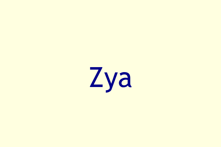 Software Solutions Provider Zya