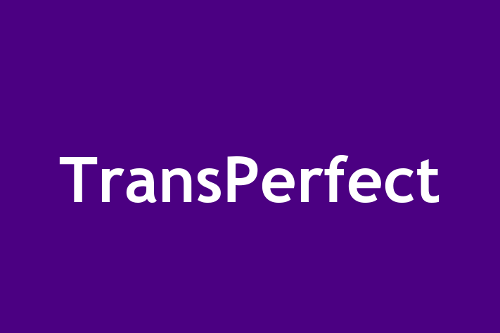 Application Development Company TransPerfect