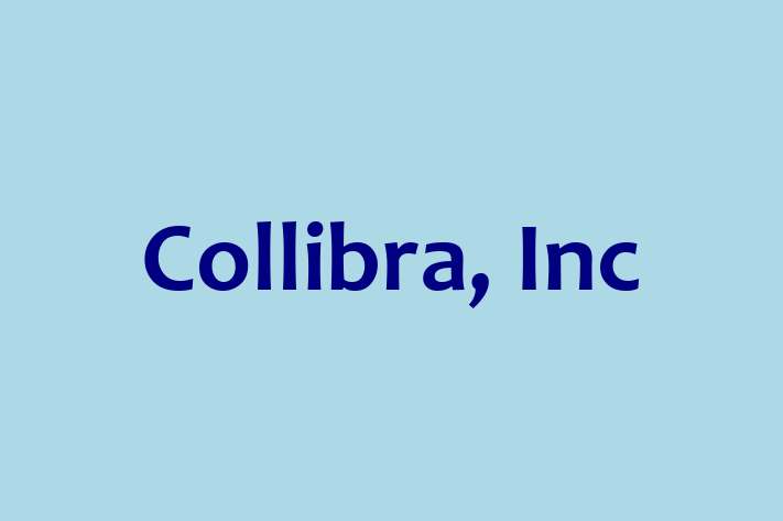 Software Solutions Provider Collibra Inc