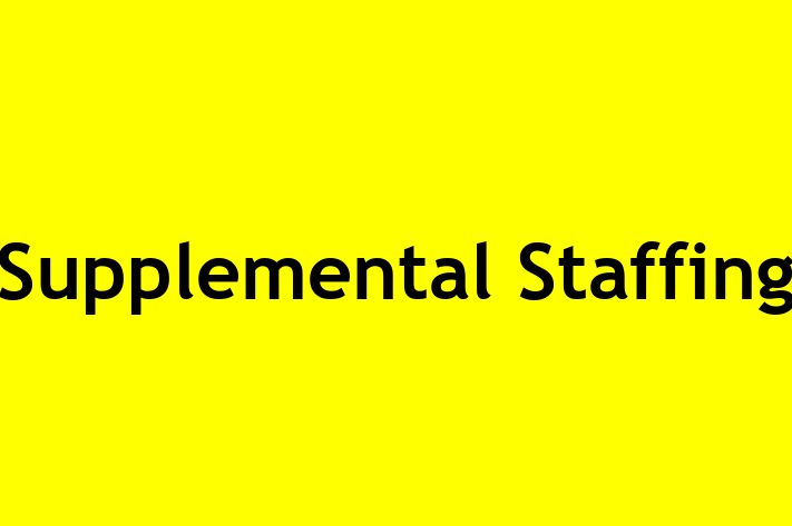 Workforce Management Supplemental Staffing