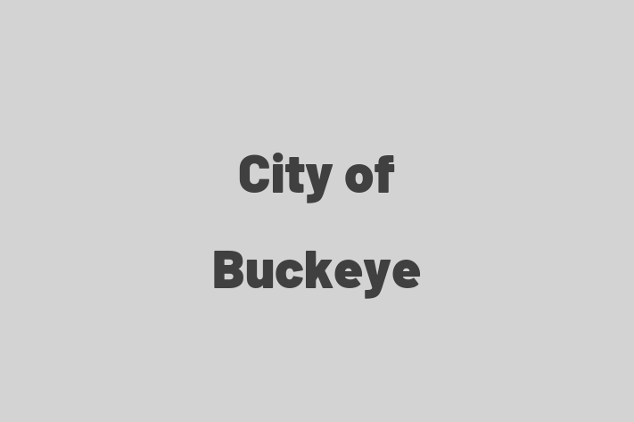 Human Capital Management City of Buckeye