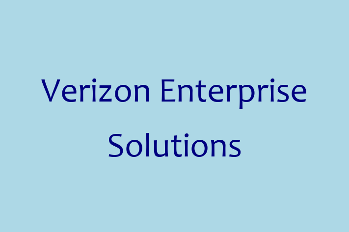 Software Solutions Provider Verizon Enterprise Solutions