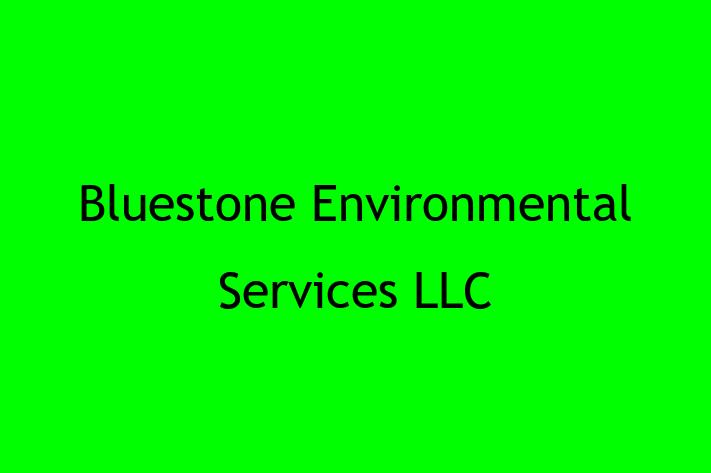 Software Engineering Company Bluestone Environmental Services LLC