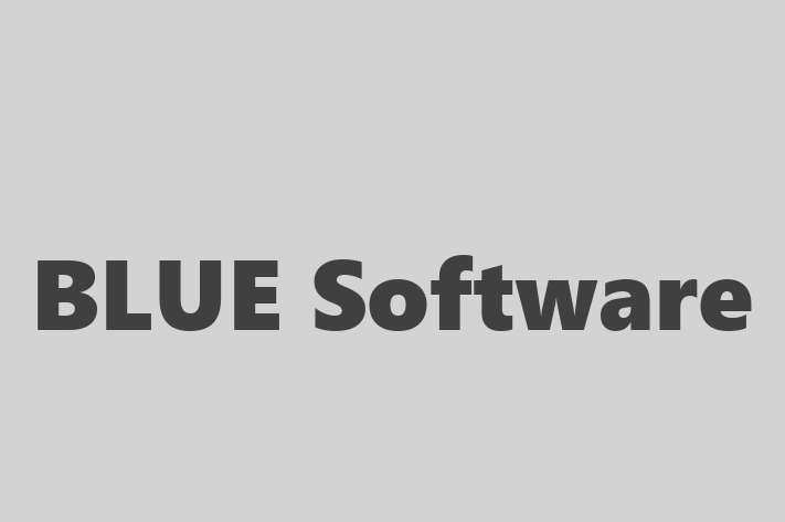 Software Services Company BLUE Software