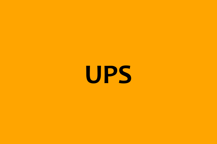 Technology Solutions Firm UPS