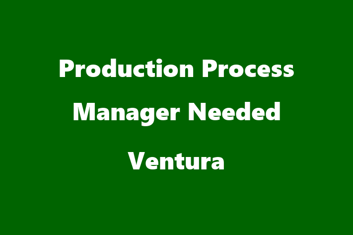 Production Process Manager Needed Ventura