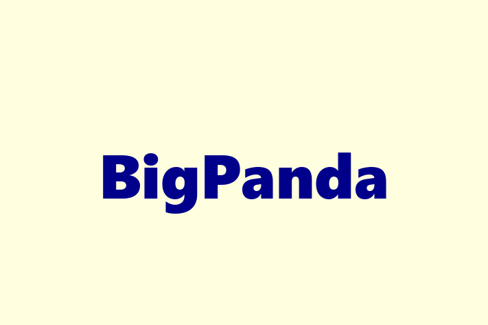 Digital Solutions Provider BigPanda