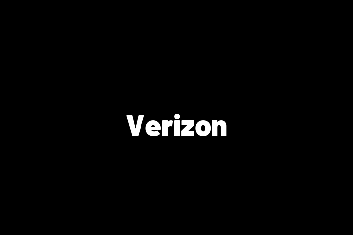 Human Capital Management Verizon