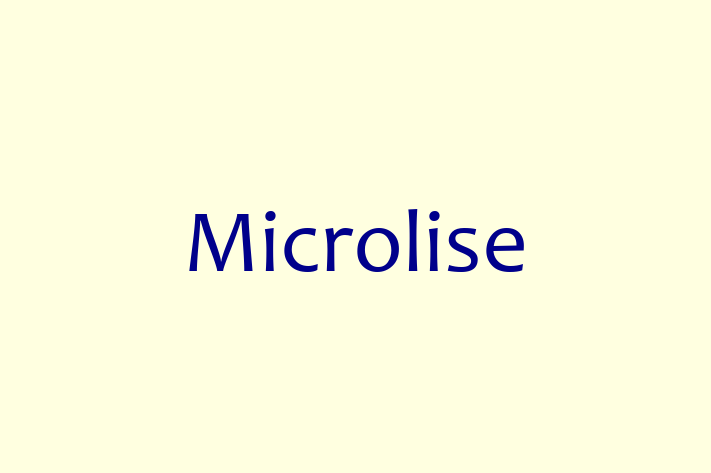 Technology Solutions Firm Microlise