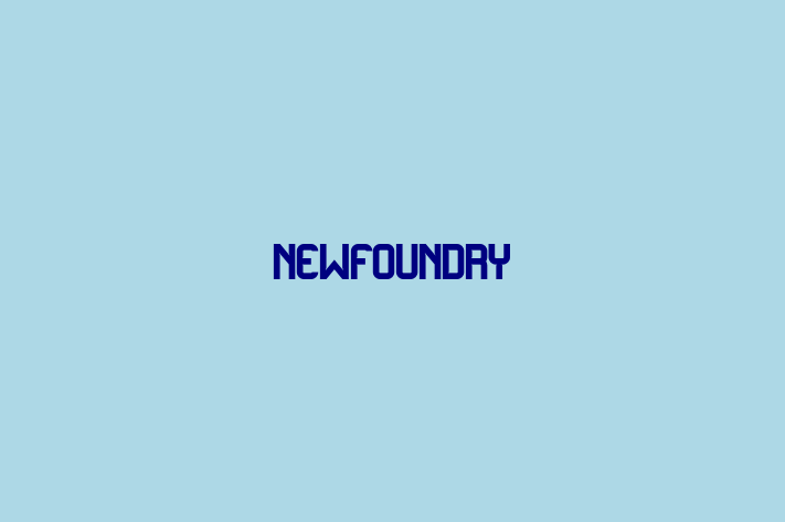 Tech Solutions Company NewFoundry