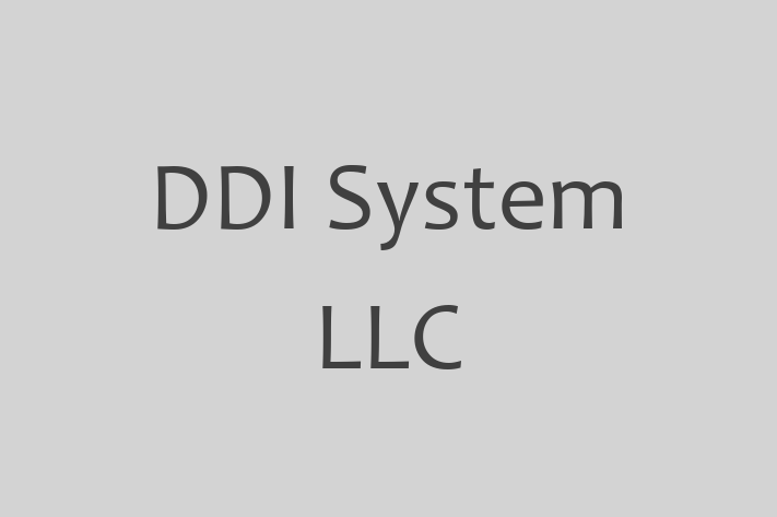 Software Development Firm DDI System LLC