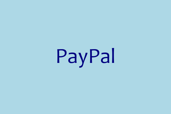 Digital Solutions Provider PayPal