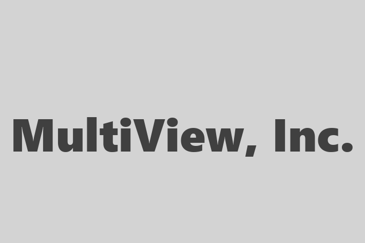 Software Services Company MultiView Inc.