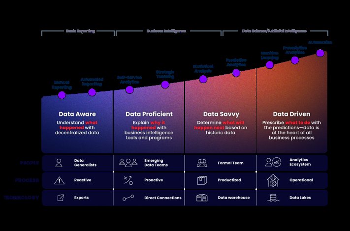 Tech Solutions Company Mutually Human