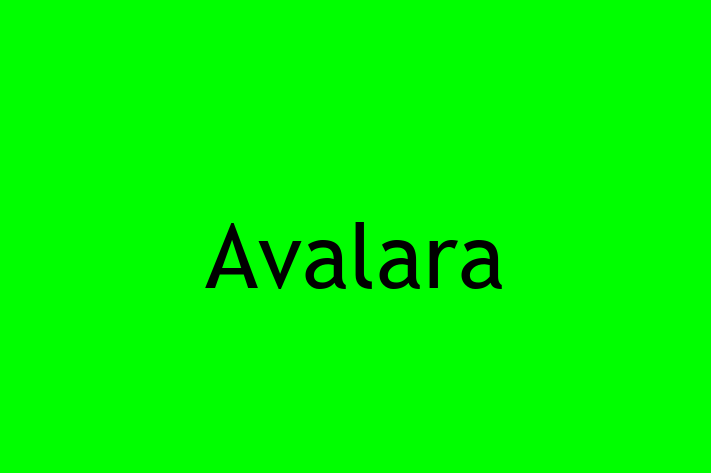 Software Services Company Avalara