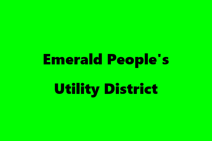 Technology Solutions Firm Emerald Peoples Utility District