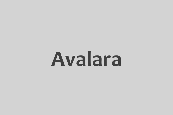 Software Development Firm Avalara