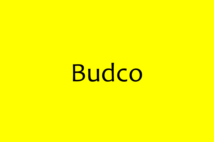 Software Engineering Company Budco