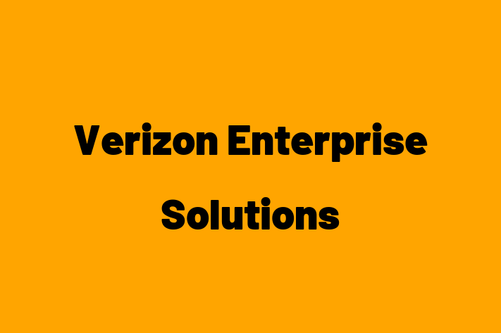 Digital Solutions Provider Verizon Enterprise Solutions