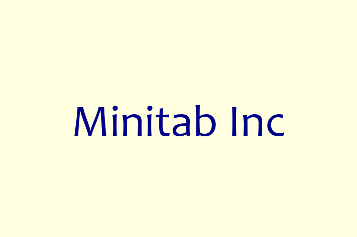 Application Development Company Minitab Inc