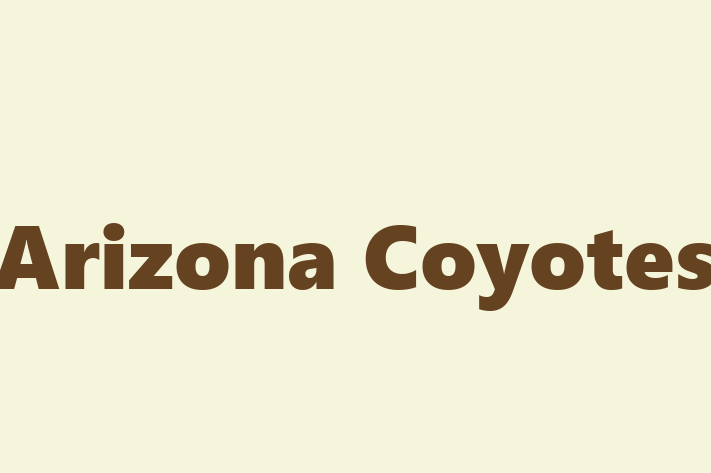 People Management Arizona Coyotes