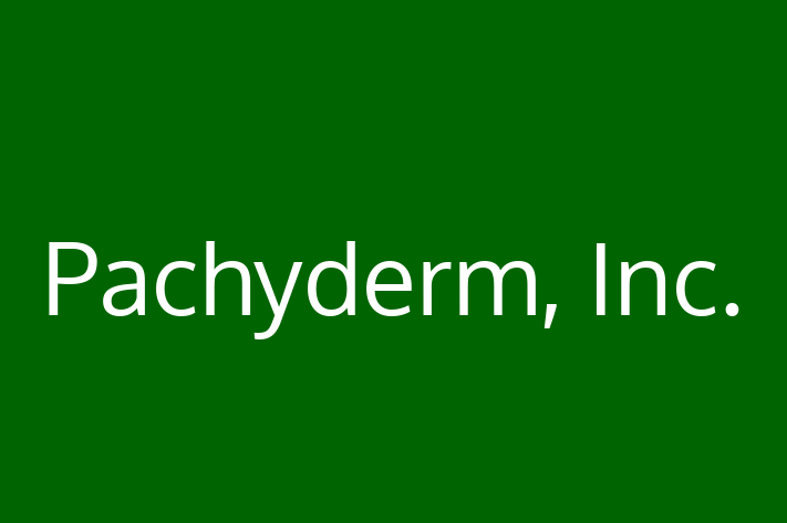 Software Services Company Pachyderm Inc.