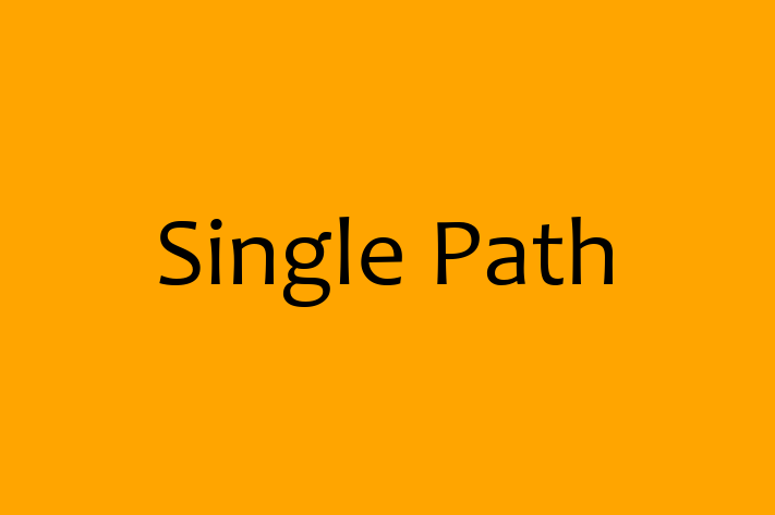 Software Development Company Single Path