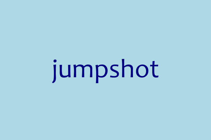 Application Development Company jumpshot