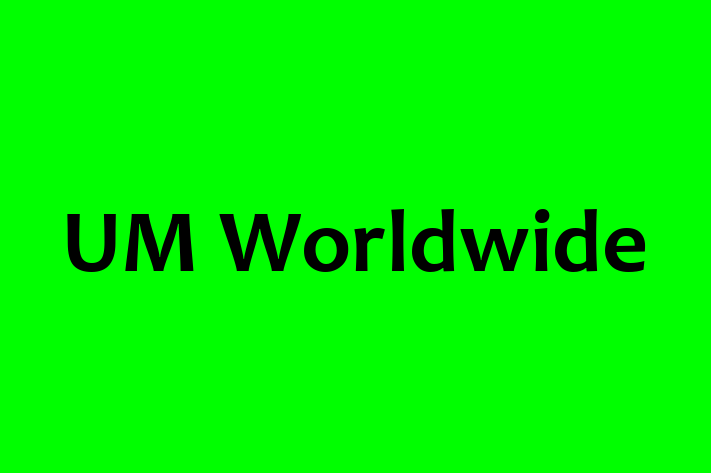 Digital Solutions Provider UM Worldwide