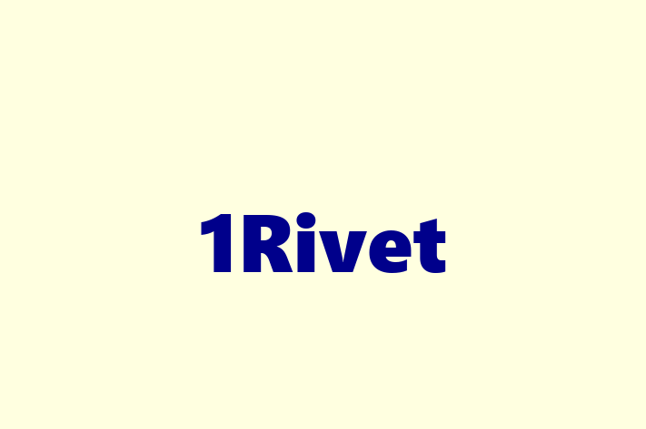 IT Company 1Rivet