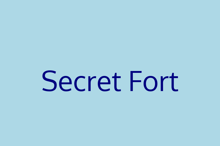 Software Development Firm Secret Fort