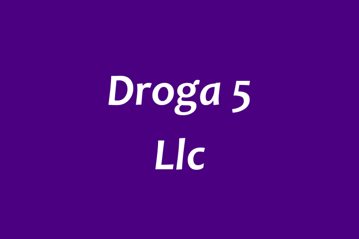 IT Company Droga 5 Llc