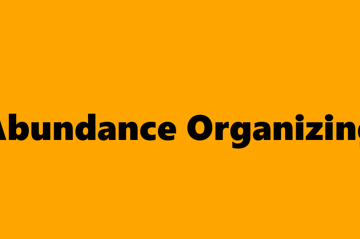 Tech Solutions Company Abundance Organizing