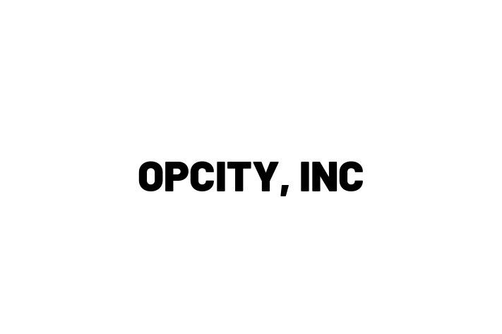 Tech Firm OPCITY INC