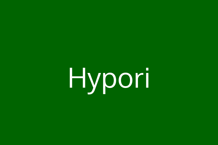 Technology Solutions Firm Hypori