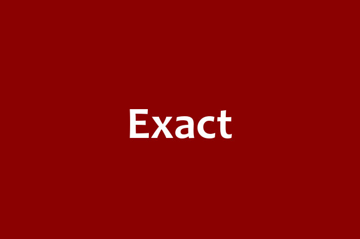 IT Company Exact