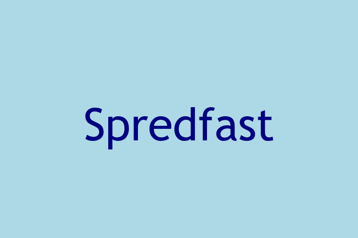 Software Engineering Company Spredfast