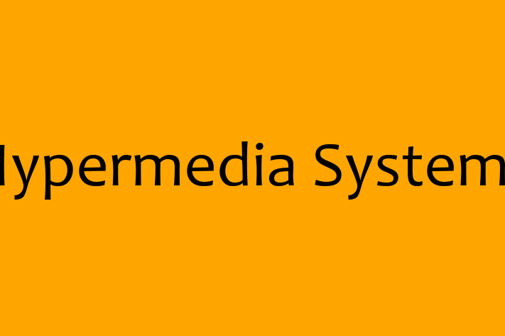 Software Development Firm Hypermedia Systems