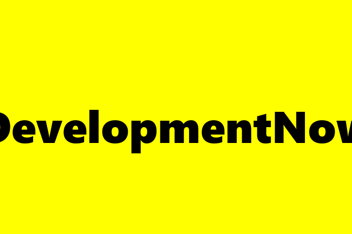 Software Services Company DevelopmentNow