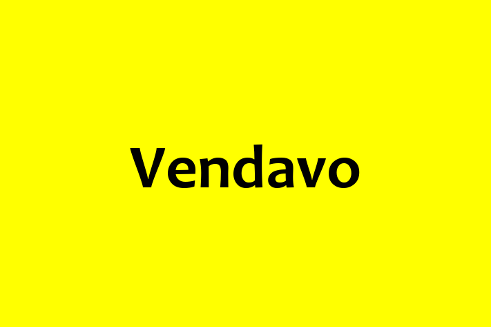 Digital Solutions Provider Vendavo