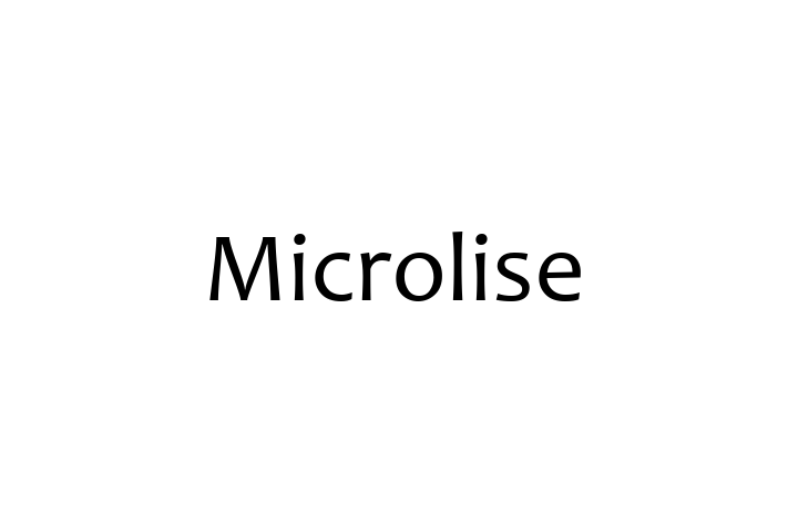 IT Company Microlise