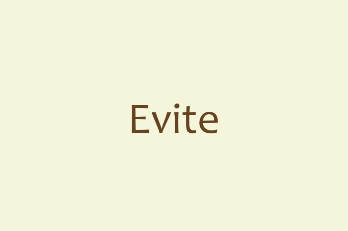 Tech Firm Evite