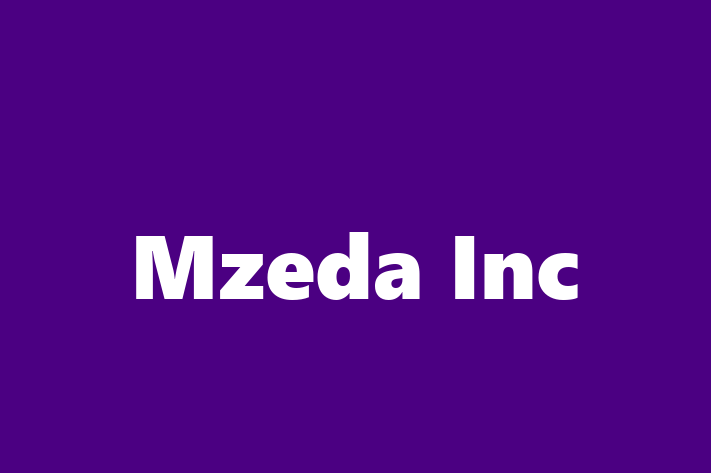 Electrical specialists Mzeda Inc