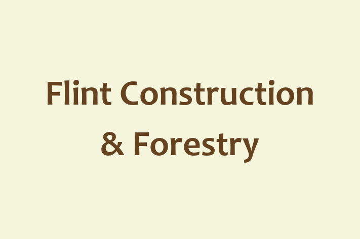 HR Administration Flint Construction Forestry