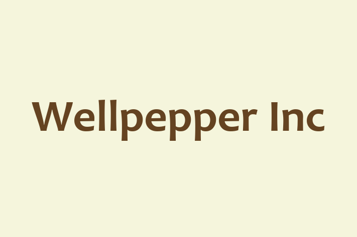 Application Development Company Wellpepper Inc