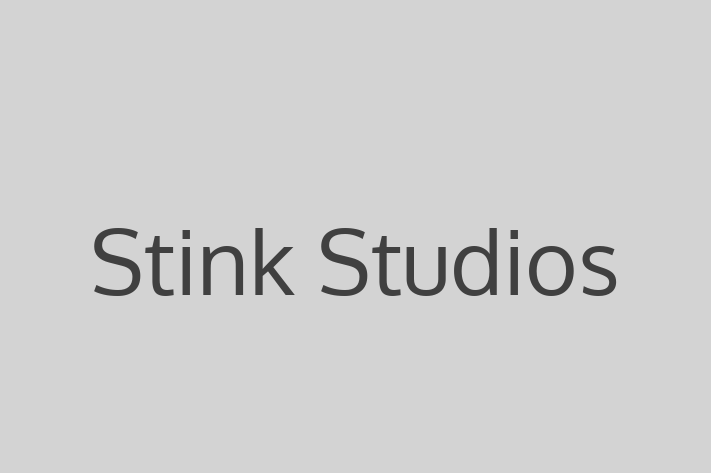 Software Solutions Provider Stink Studios