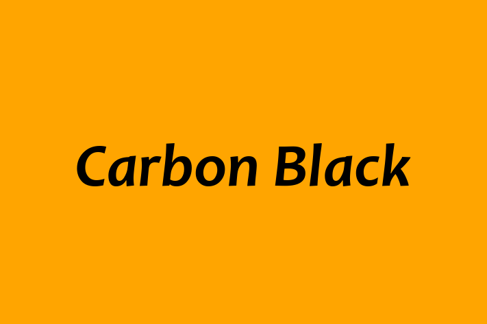 Software Development Firm Carbon Black